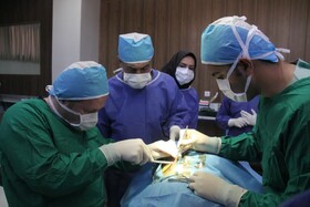 تاکید فرماندار مهدیشهر بر حمایت از پروژه‌های علمی - تحقیقاتی جهاد دانشگاهی سمنان