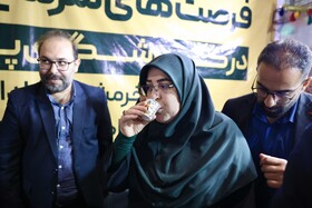 بازدید فاطمه مهاجرانی، سخنگوی دولت از نمایشگاه گردشگری و صنایع دستی - مشهد