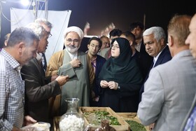 بازدید فاطمه مهاجرانی، سخنگوی دولت از نمایشگاه گردشگری و صنایع دستی - مشهد