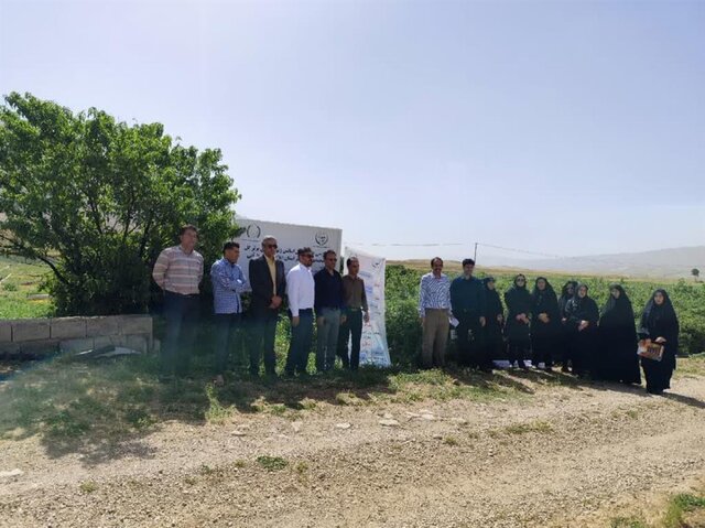 کدام ژنوتیپهای گل محمدی در ایلام بهتر جواب میدهد؟