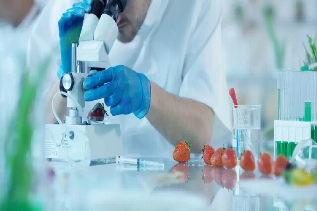 رقابت تیم‌های فناور برای ارائه بهترین فرمولاسیون فرآوری محصولات غذایی