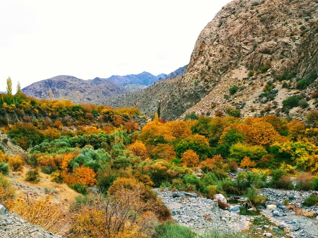 یکی از امنترین و بکرترین مناطق جهان در آتش سوخت