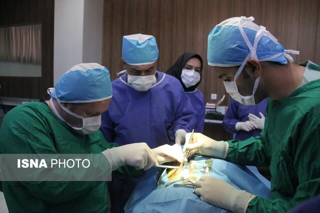 تاکید فرماندار مهدیشهر بر حمایت از پروژه‌های علمی - تحقیقاتی جهاد دانشگاهی سمنان