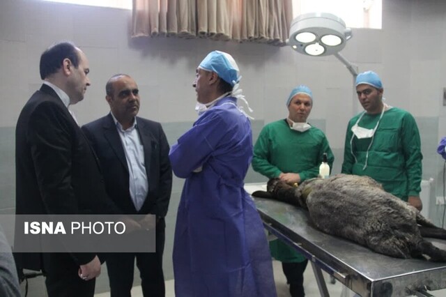 تاکید فرماندار مهدیشهر بر حمایت از پروژه‌های علمی تحقیقاتی جهاددانشگاهی استان سمنان