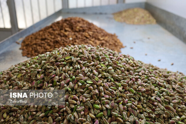 طعم بهشت در دل کوهستان؛ سفر به پایتخت گز ایران «بلداجی»