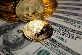 صعود بیت‌کوین برای نخبگان رمزارز خطرناک شد