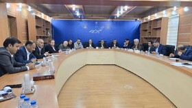 مشکلات کارخانه سیمان مارگون بررسی شد