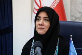 صنایع‌ دستی ایران از وجاهت ارزشمندی در دنیا برخوردار است