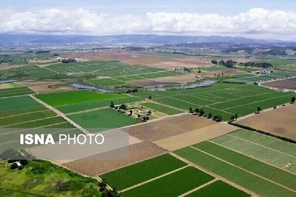 مصرف آب در کشاورزی از ۵۰ درصد باید به ۱۰ درصد برسد مصرف آب در کشاورزی از ۵۰ درصد باید به ۱۰ درصد برسد