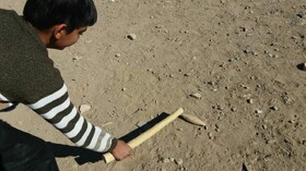 «الک‌ بازی زواره» در فهرست میراث ناملموس کشور ثبت شد + فیلم