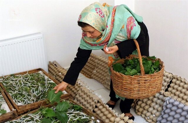 چرا مشاغل خرد فرصت‌های شغلی بیشتری ایجاد می‌کنند؟