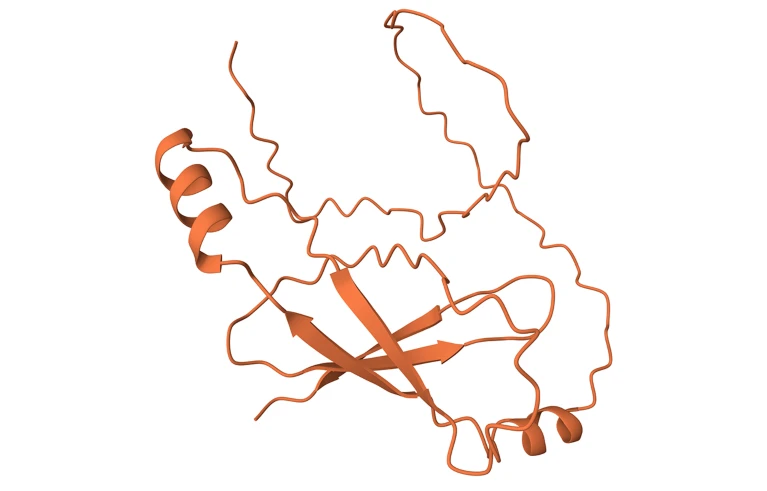 هوش مصنوعی، طراح پروتئین میشود!