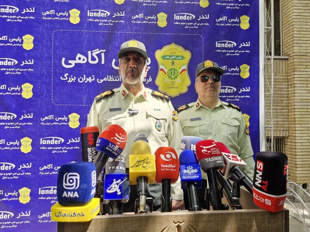 دستگیری ۲۳۰ سارق و مالخر در پایتخت