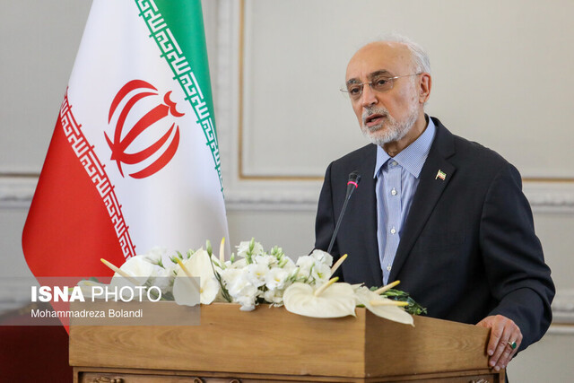 صالحی: شهید امیرعبداللهیان مردی از تبار عقلانیت در میدان عمل بود
