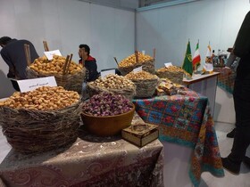نمایشگاه «راه ادویه» با حضور اقوام ایرانی در کرمان برپاست