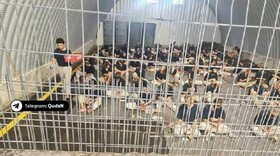 واکنش حماس به شهادت اسیر فلسطینی زیر شکنجه صهیونیست‌ها