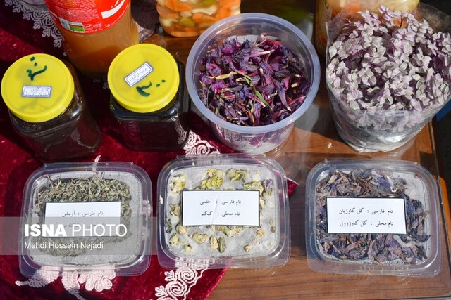 برگزاری جشنواره گل گاوزبان در دهکده گردشگری حیران