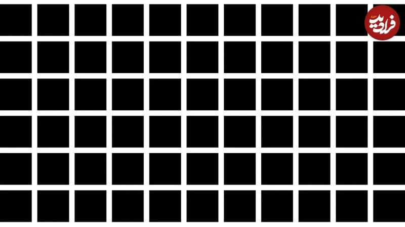 با این تصاویر دیگر به چشمانتان اعتماد نمیکنید