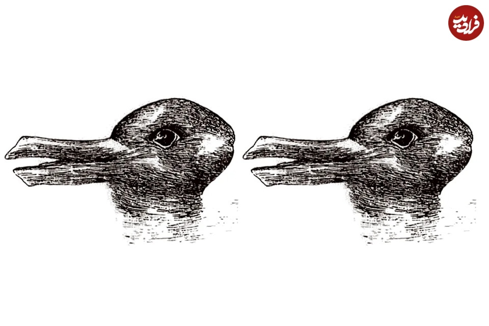 با این تصاویر دیگر به چشمانتان اعتماد نمیکنید