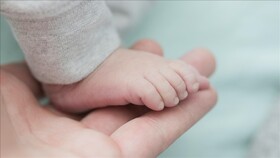کاهش باروری جهانی زنگ خطر را به صدا درآورد