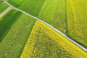۵ راهکار برای کاهش قابل توجه مصرف آب در کشاورزی