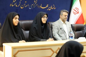 راه حل مشکل بیکاری کرمانشاه توسعه کسب و کارهای «خانگی» و «مجازی» است