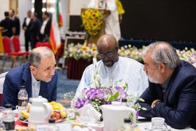 مجید تخت‌روانچی، معاون سیاسی وزیر امور خارجه  در شصت و دومین سالگرد تاسیس اتحادیه آفریقا