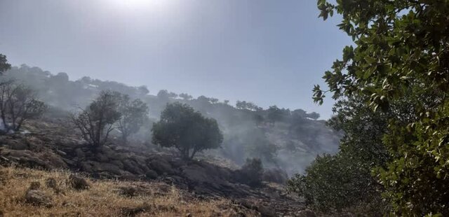 آتشسوزی جنگل در «دارحاجی» ایوان مهار شد