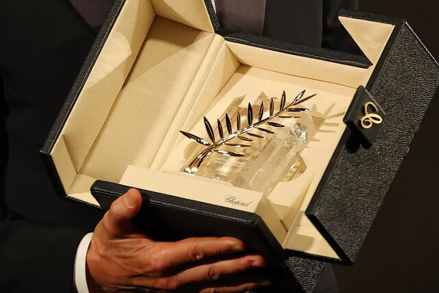 ویدیو/ نخل طلای کن در ایستگاه هفتاد و هشتم ویدیو/ نخل طلای کن در ایستگاه هفتاد و هشتم