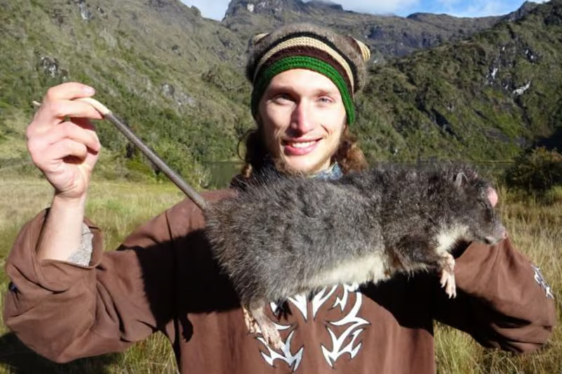 موش صحرایی غولپیکر پس از ۳۰ سال دیده شد