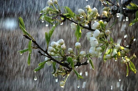 تداوم بارندگی‌های بهاری در استان سمنان
