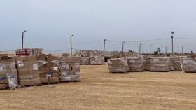 سرقت کمک‌های مردم غزه توسط شرکت اسرائیلی ـ آمریکایی