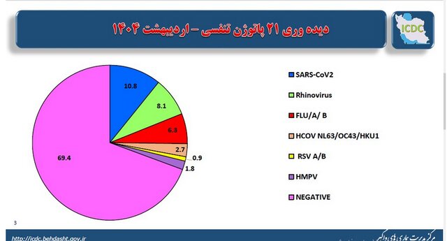 کرونا در ویروس های تنفسی شناسایی شده در اردیبهشت ماه