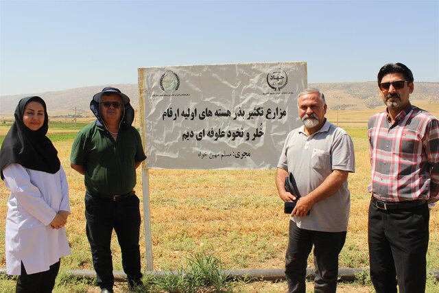 الگوهای کشت جدید، زمینهساز افزایش تولید و کاهش آسیبپذیری کشاورزی