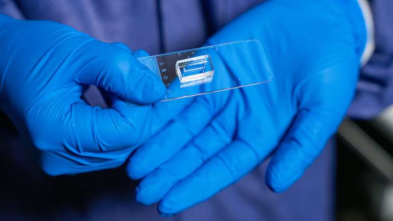 تراشههایی که شبیهساز عروق خونی میشوند