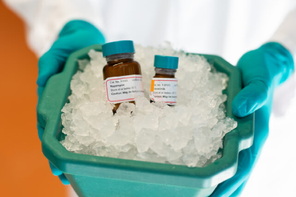 آزمایش موفق داروی ضد پیری روی موشها