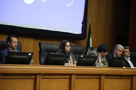از مهجوریت فرش کرمان تا لزوم همکاری تهران برای احیاء شرکت فرش