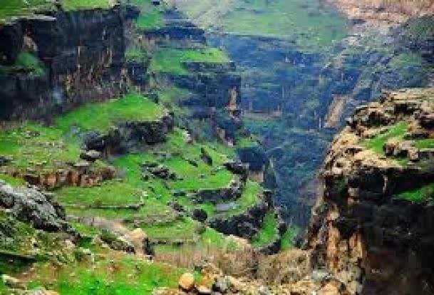 «ویژدرون»، بهشتی که قربانی میگیرد