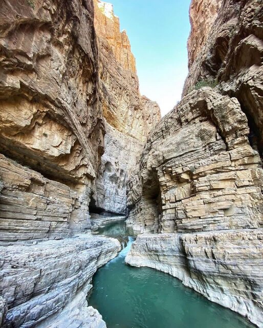 «ویژدرون»، بهشتی که قربانی میگیرد