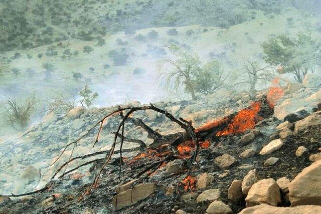 آتش‌سوزی ارتفاعات کوه‌چنار گسترده نیست/ تداوم عملیات اطفاء حریق