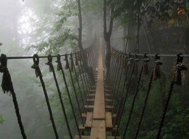 تجربه سفر ۳ روزه به رامسر با اقامت در کلبه جنگلی