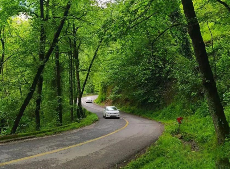 تجربه سفر ۳ روزه به رامسر با اقامت در کلبه جنگلی