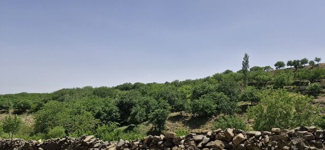 آبشار «درهغار» ملایر؛ نگینی در دل کوههای شاهنشین