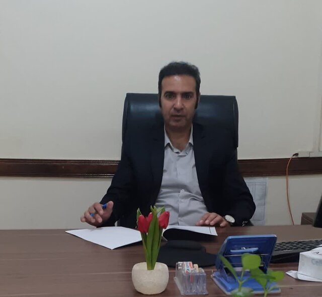 افزایش ۴ هزار هکتاری مبارزه با سن گندم در ایلام/ ریزش سن مادر امسال زودتر از سال‌های گذشته گزارش شد 