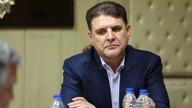 زینی وند: نیازمند حضور جدی احزاب برای هم افزایی هستیم