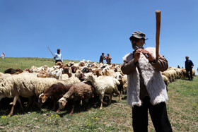 جشنواره فرهنگی، ورزشی و گردشگری شیور در روستای جوبند اهر
