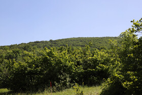 اولین مرحله مسابقات کشوری تری دی آرچری در شهرستان اهر