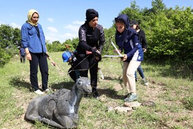 اولین مرحله مسابقات کشوری تری دی آرچری در شهرستان اهر