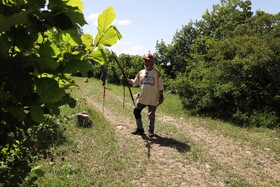 اولین مرحله مسابقات کشوری تری دی آرچری در شهرستان اهر