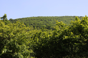 اولین مرحله مسابقات کشوری تری دی آرچری در شهرستان اهر